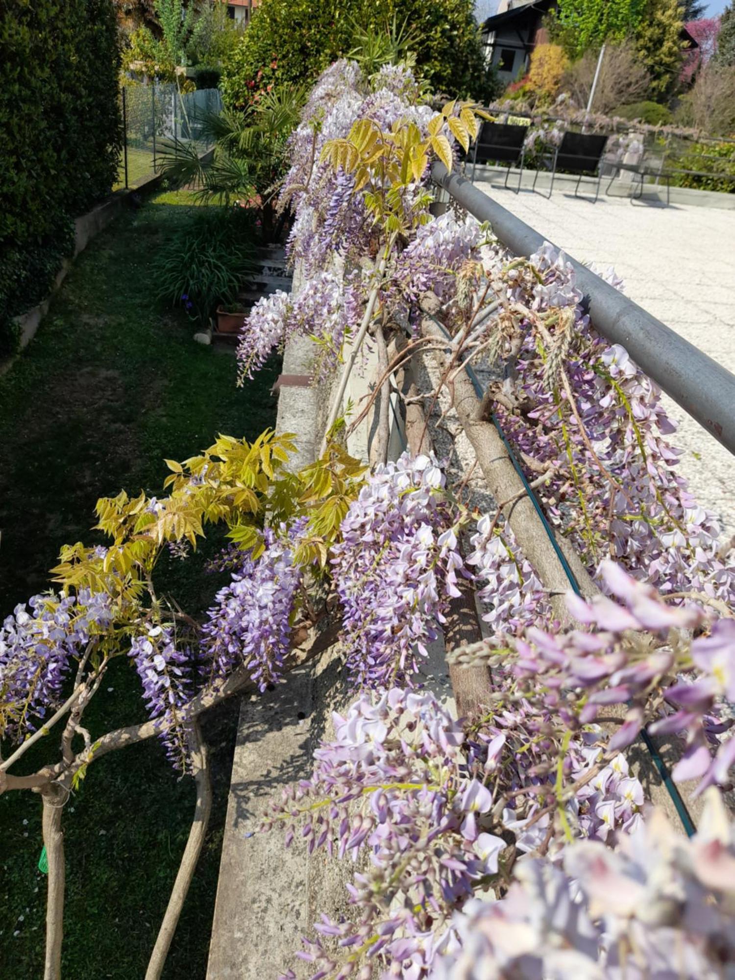 인보리오인페리오레 Casa Germana 아파트 외부 사진